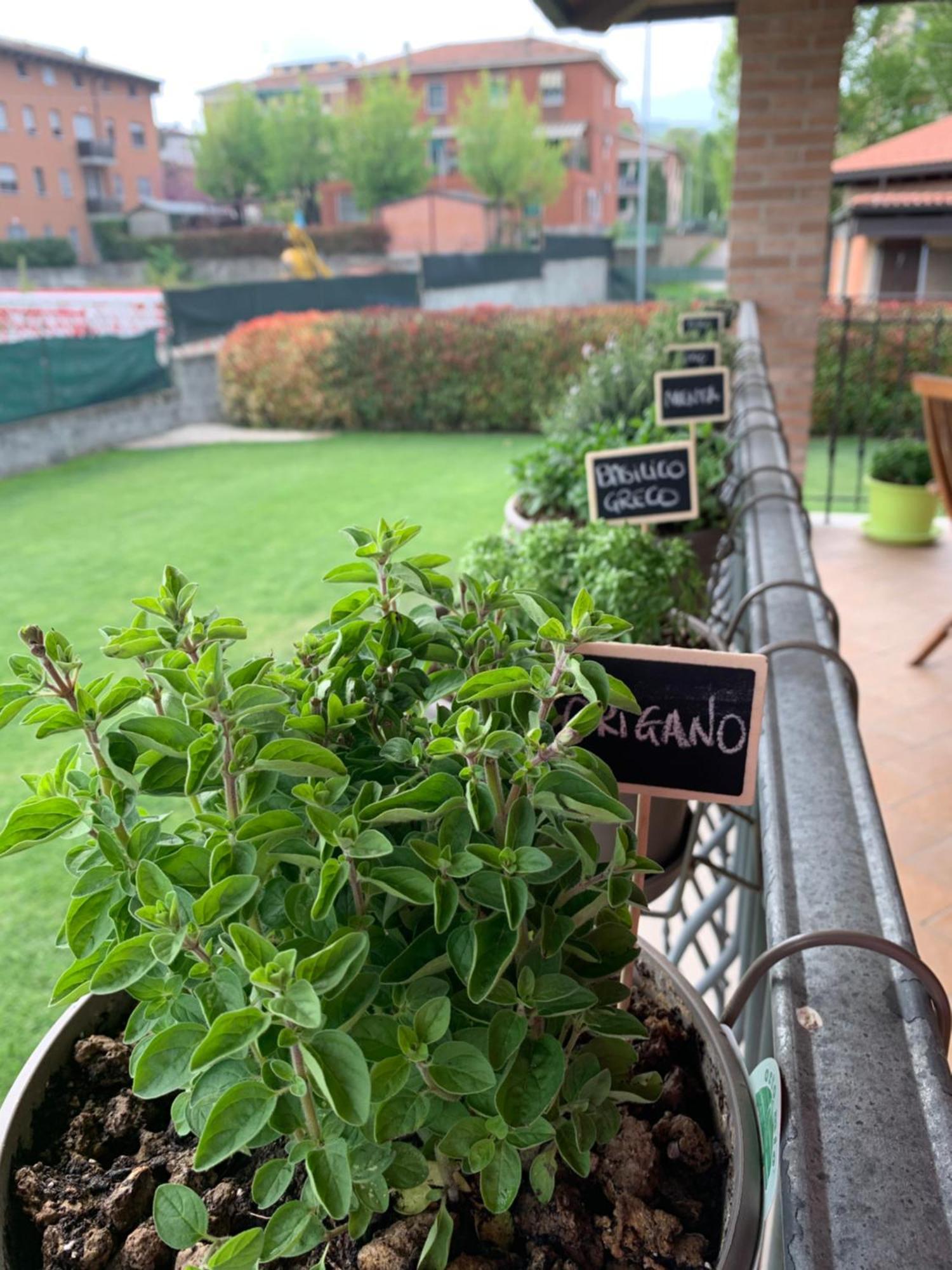 Appartamento Con Giardino Pontecchio Marconi Kültér fotó